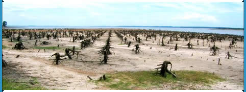 Ecoturismo en Federacion, Entre Rios